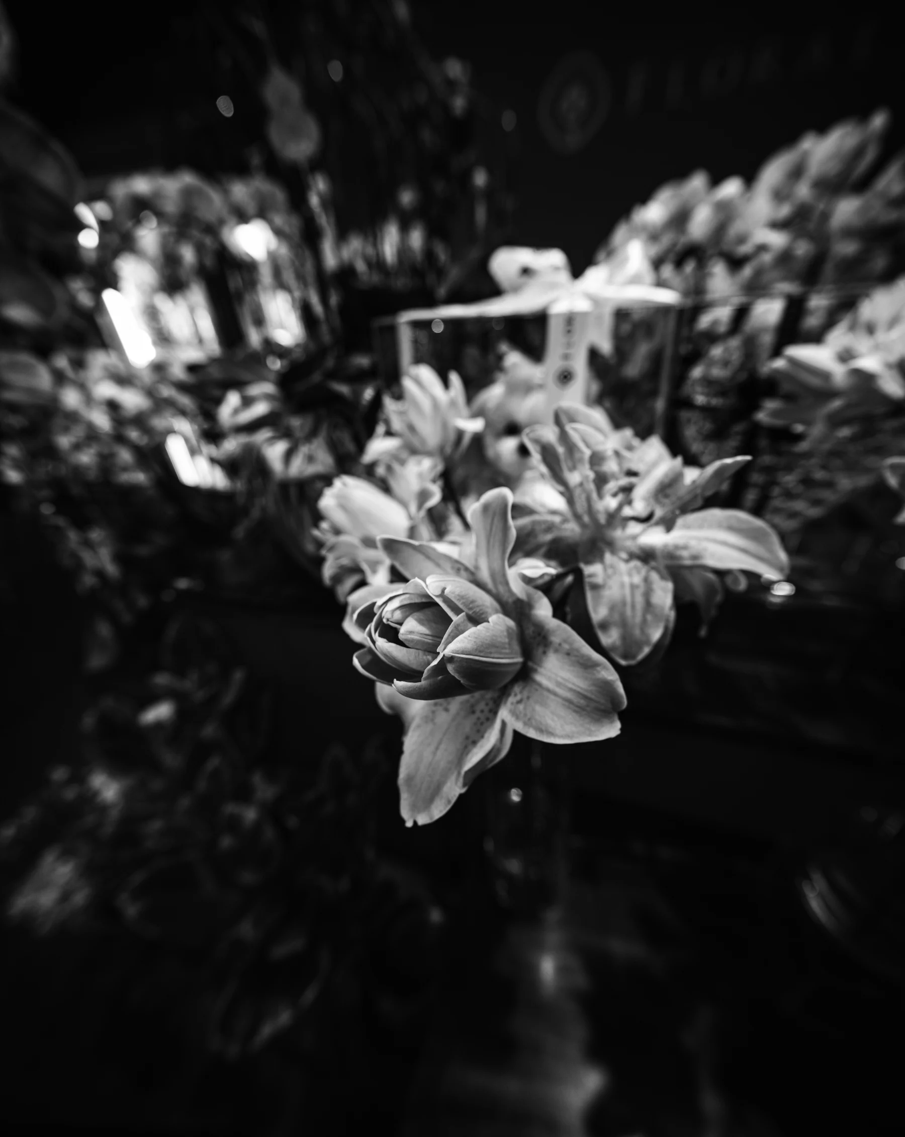 Portfolio photograph