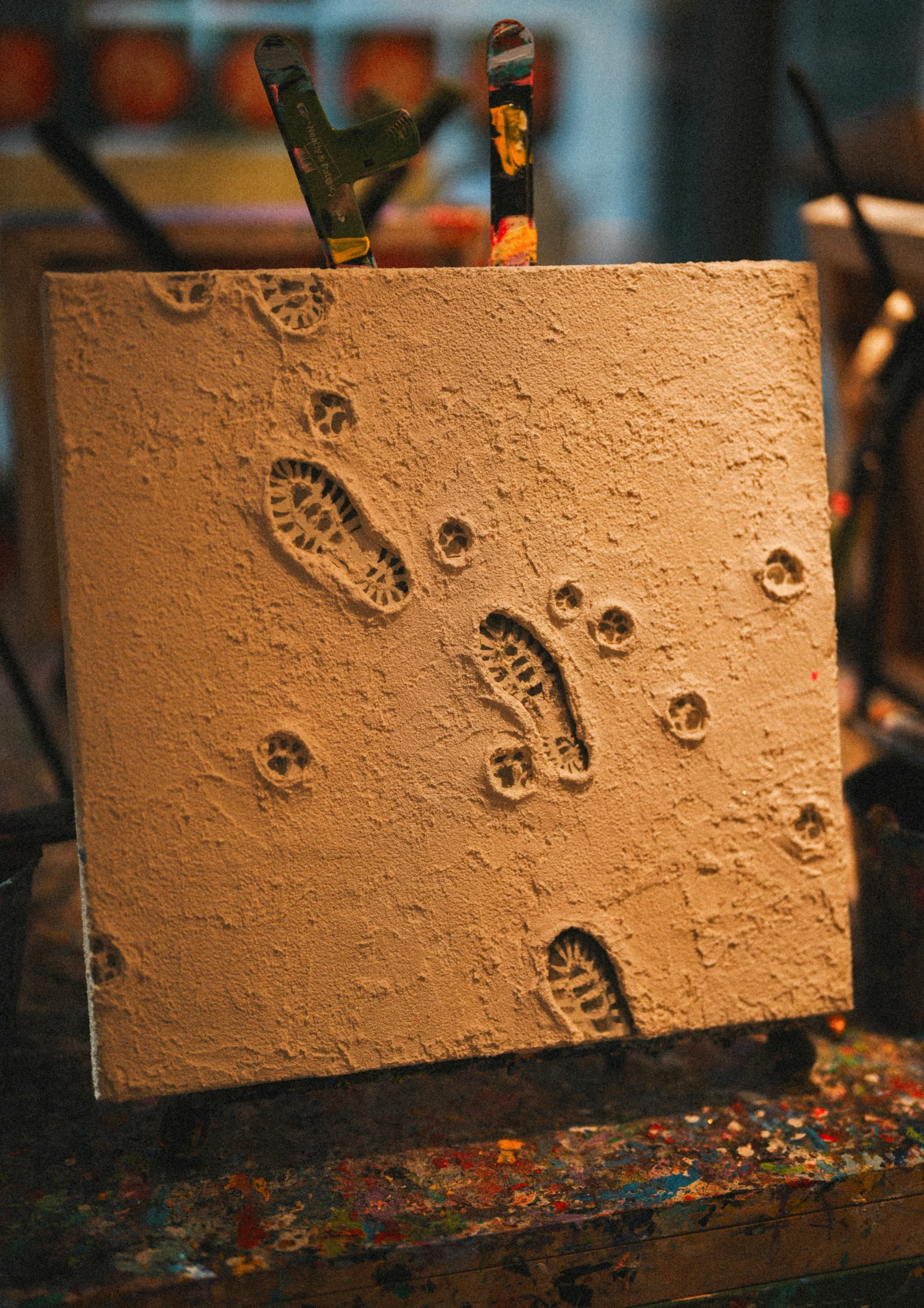 Portfolio photograph