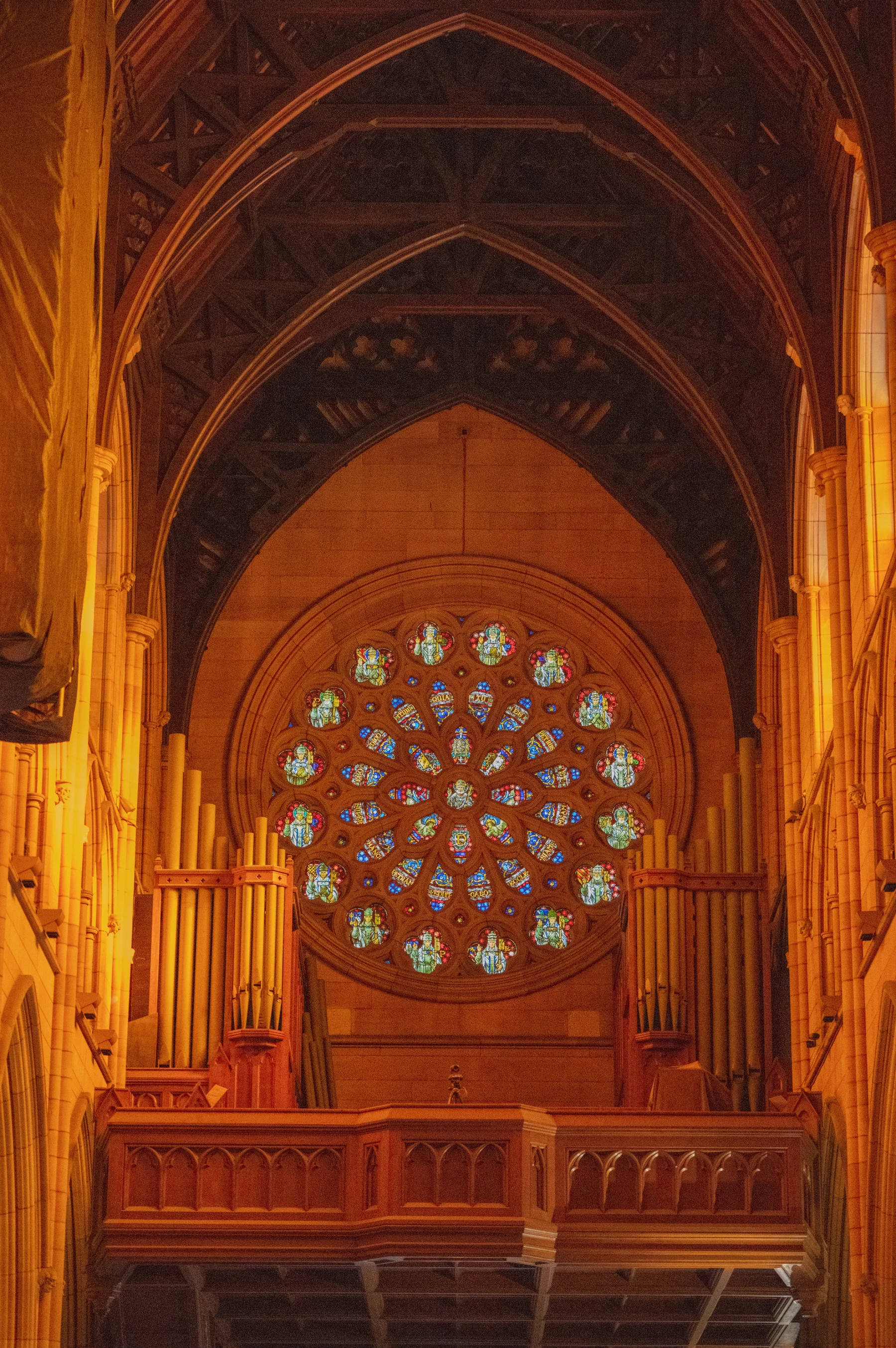 Portfolio photograph