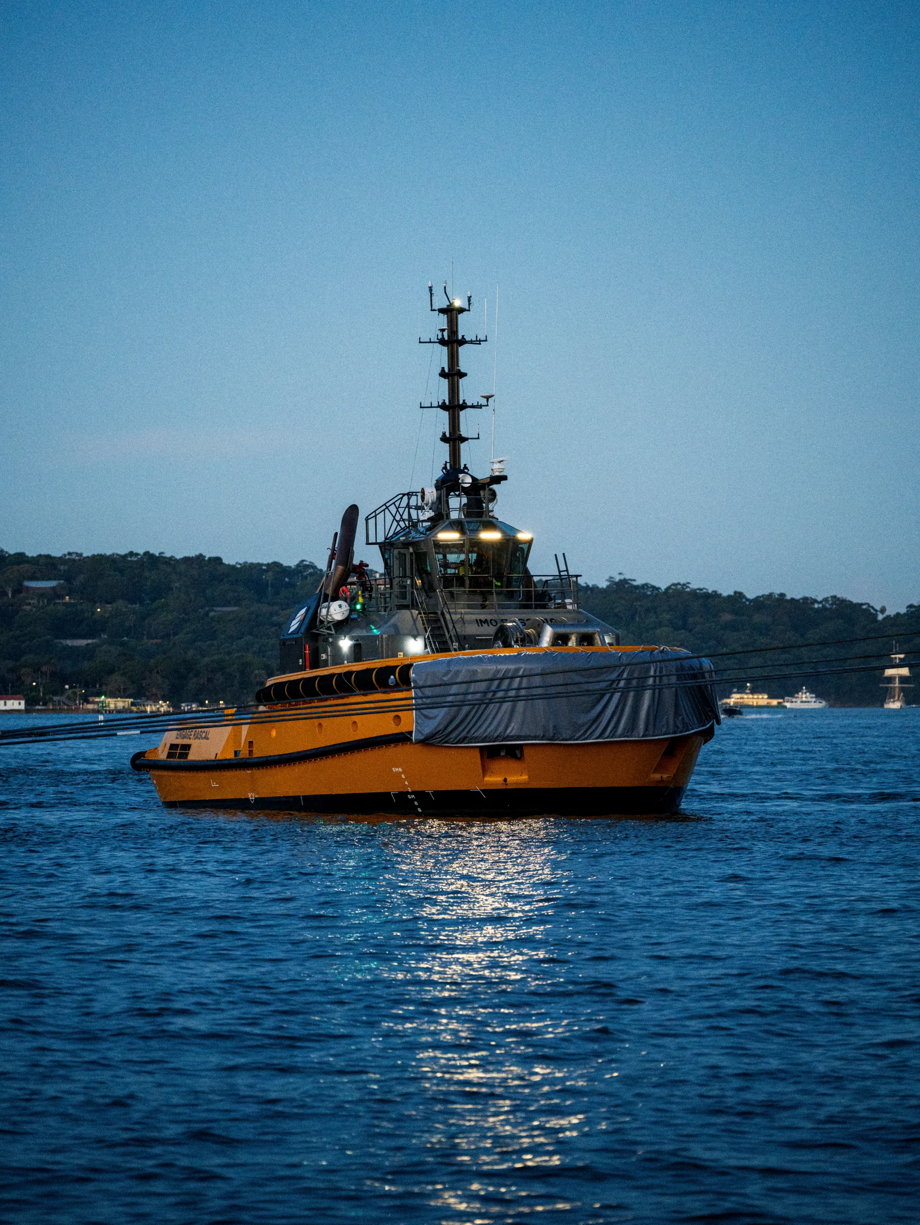 Portfolio photograph