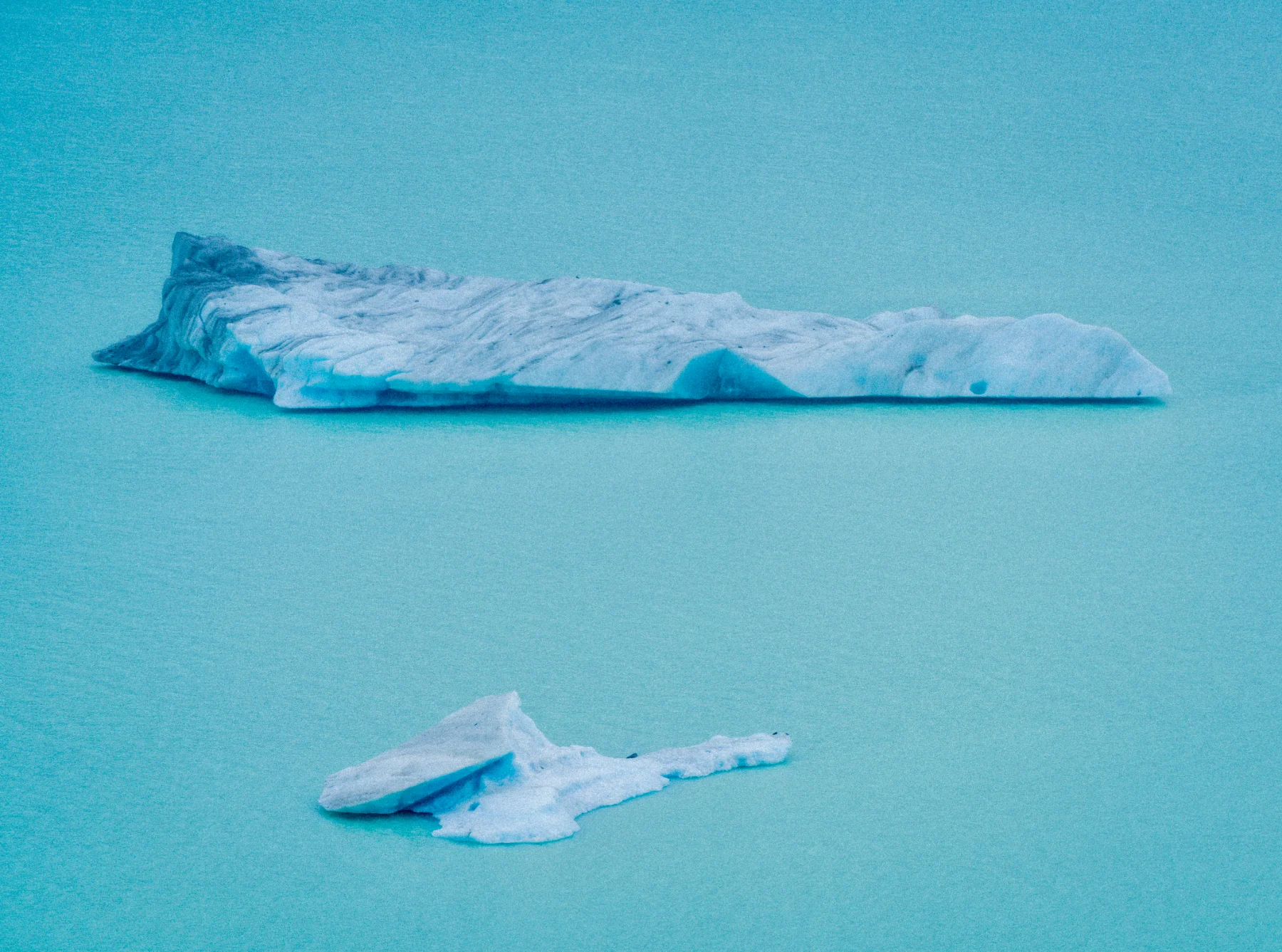 Portfolio photograph
