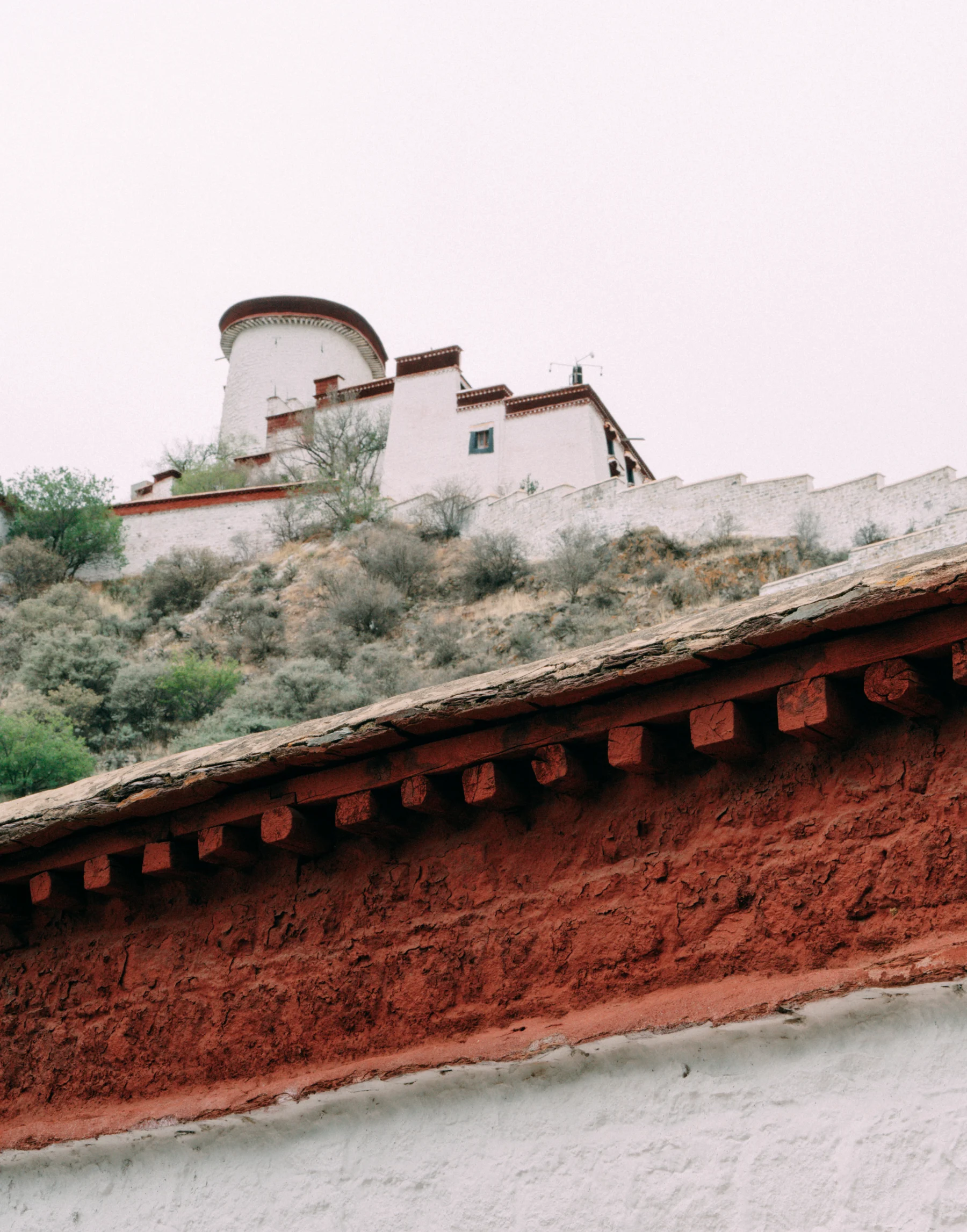 Portfolio photograph