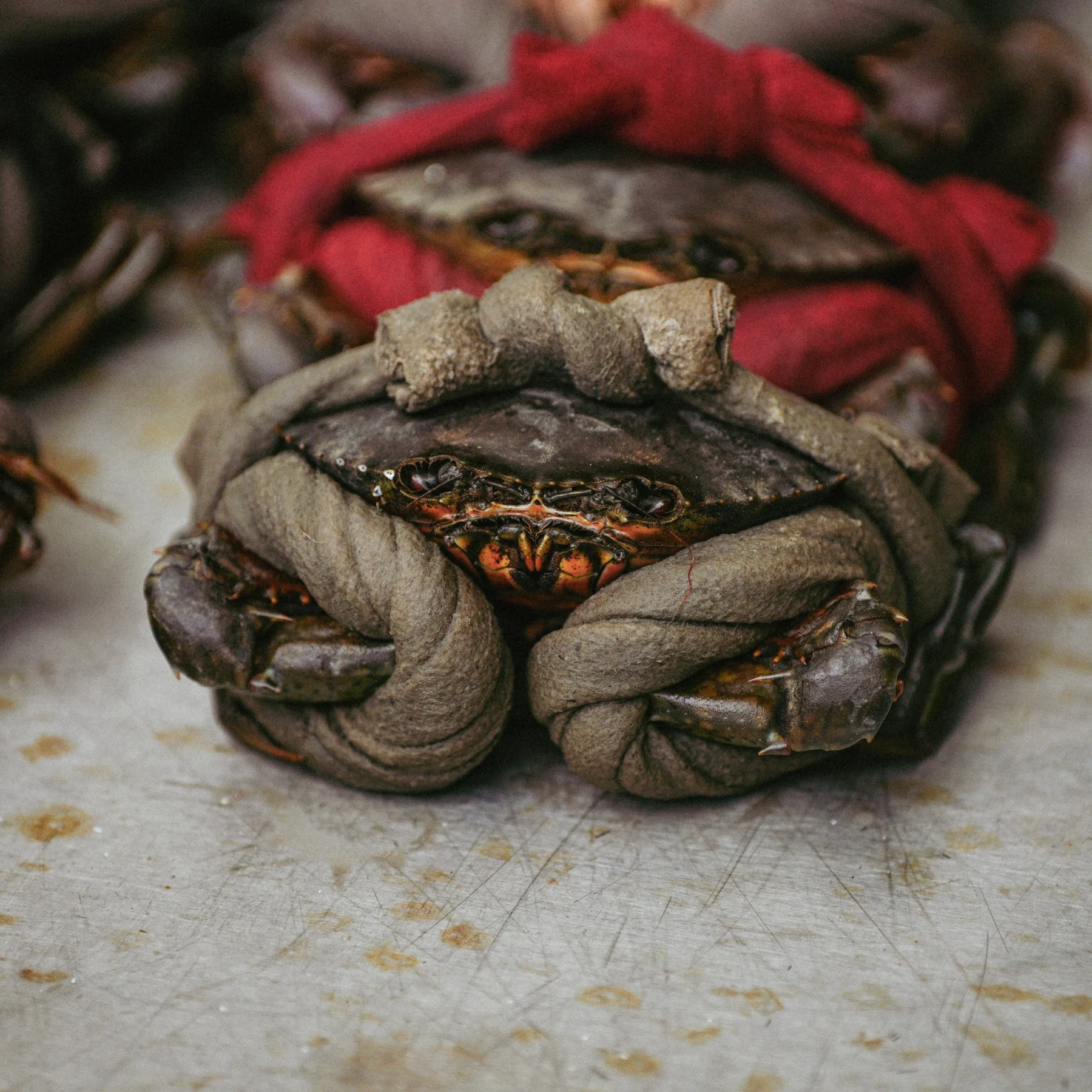 Portfolio photograph