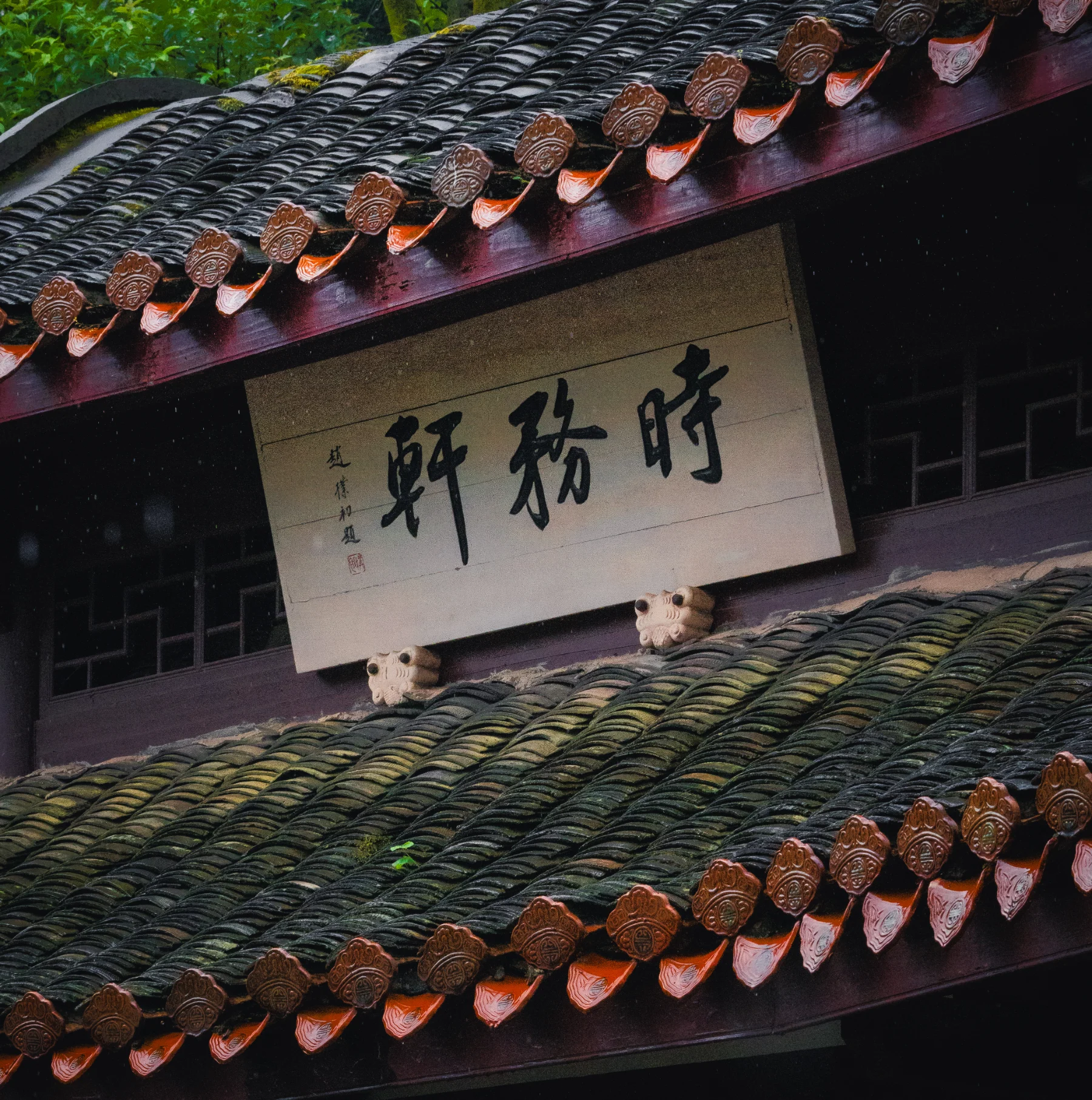 Portfolio photograph