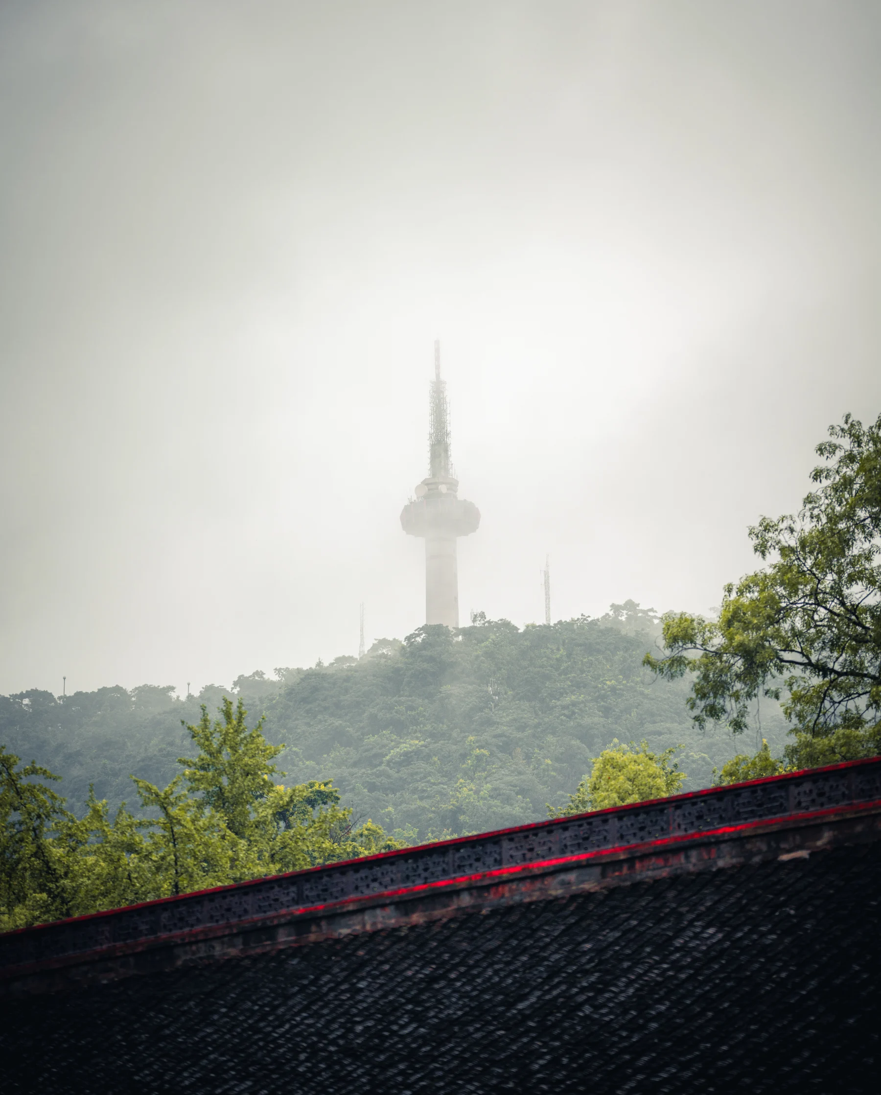 Portfolio photograph