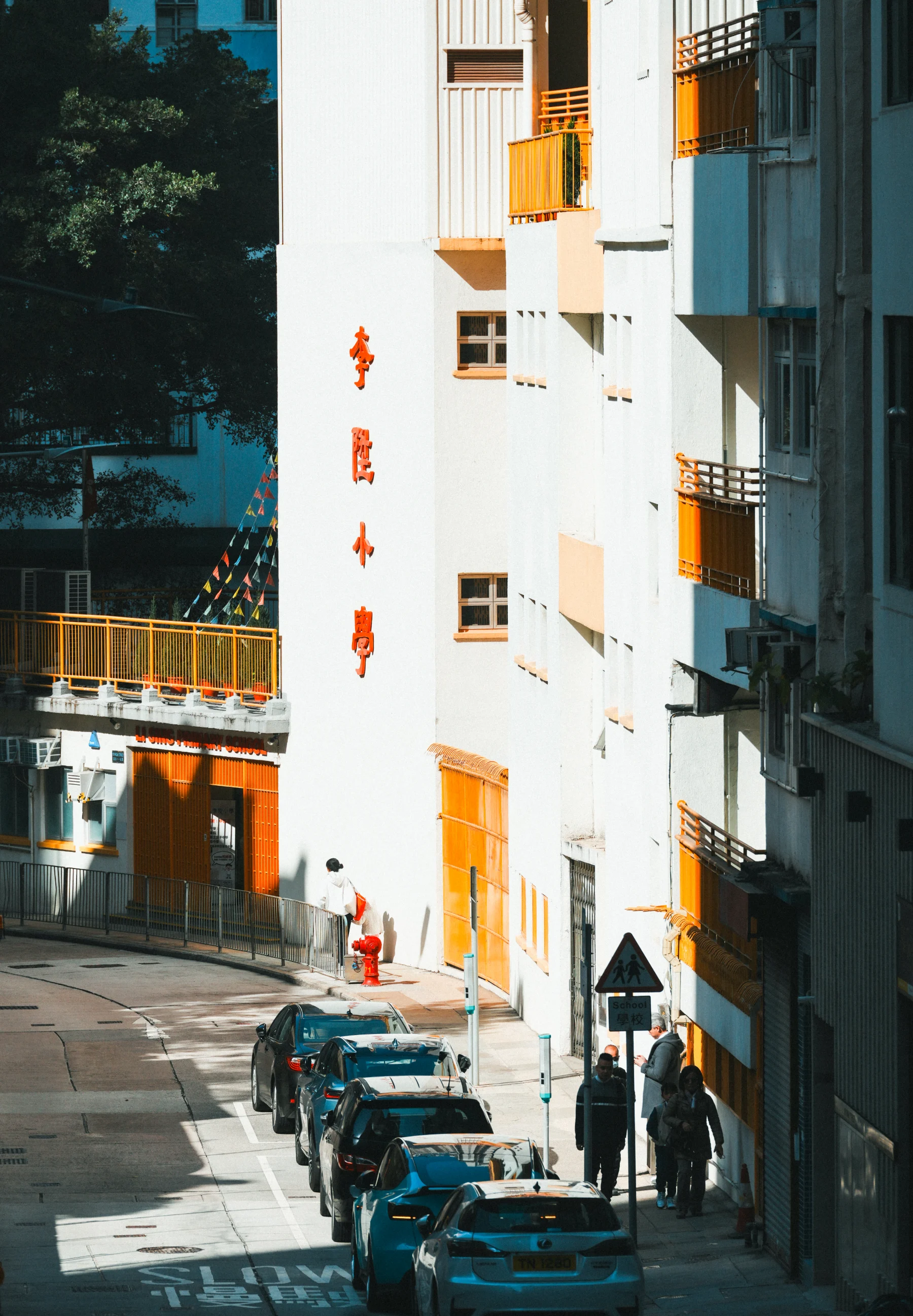 Portfolio photograph