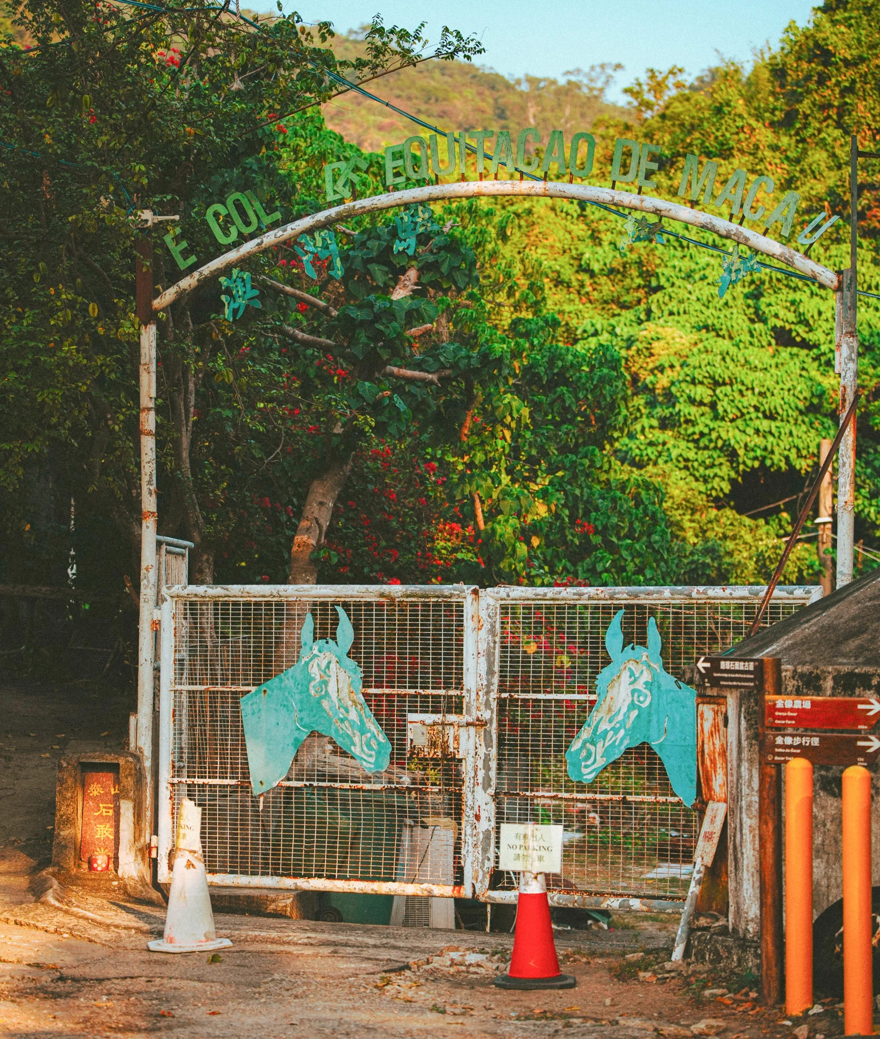 Portfolio photograph