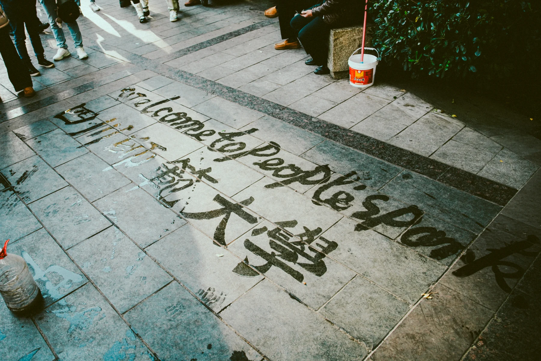 Portfolio photograph